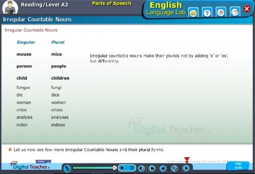 Reading level a2 irregular countable nouns